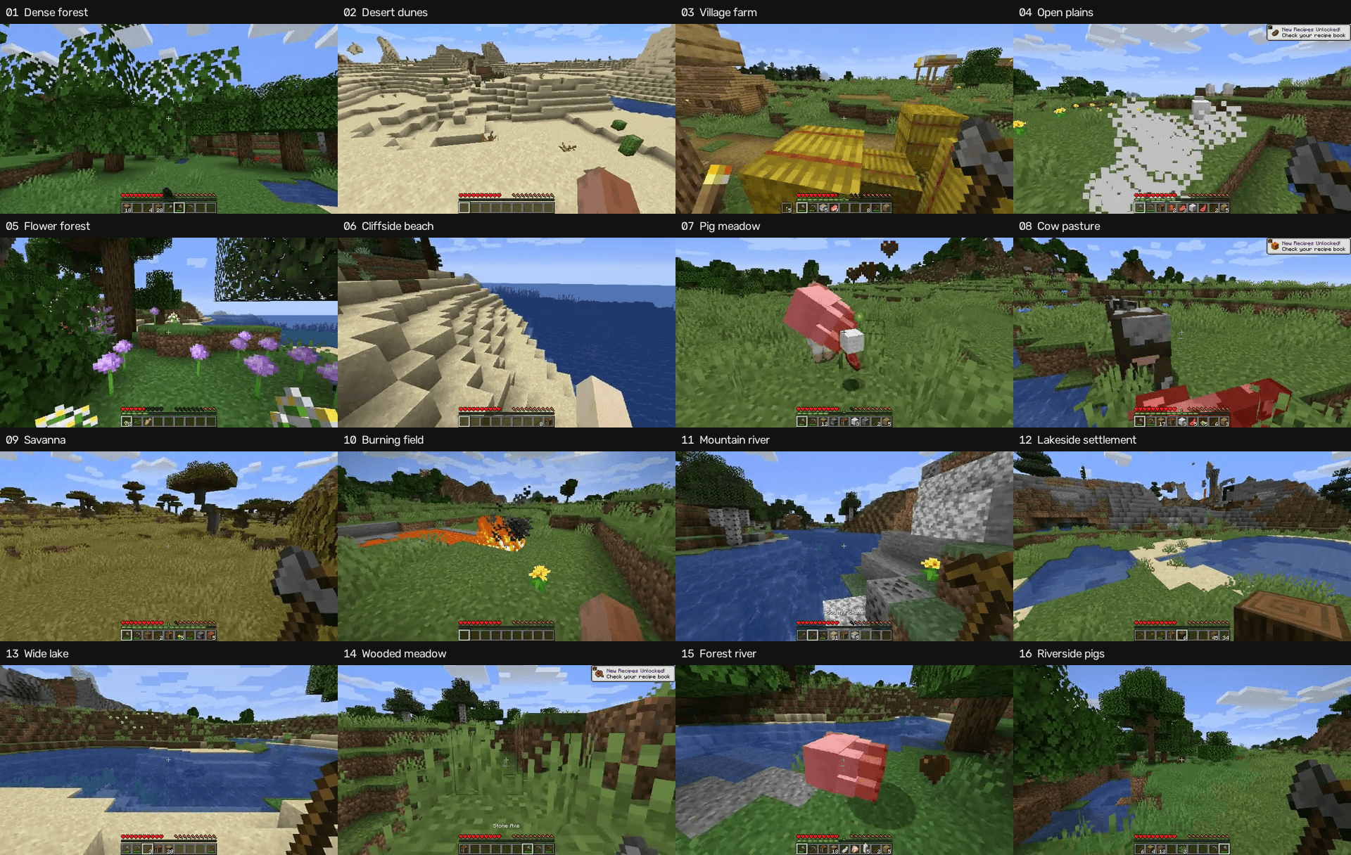 A four-by-four grid of Minecraft gameplay frames from the training set, labelled dense forest, desert dunes, village farm, open plains, flower forest, cliffside beach, pig meadow, cow pasture, savanna, burning field, mountain river, lakeside settlement, wide lake, wooded meadow, forest river, and riverside pigs.