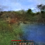Grassland river — look right, frame at t+2